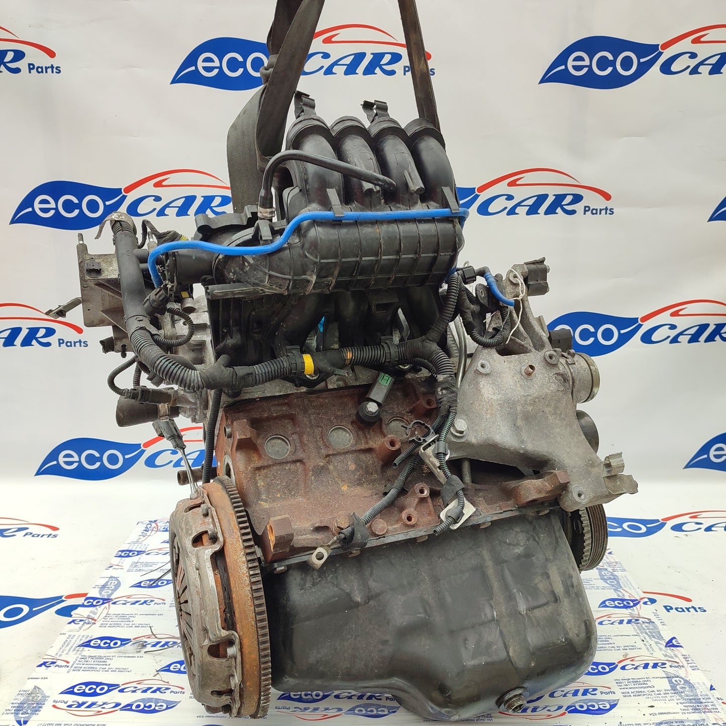 Motore Fiat Panda 1.2 8v benzina 70cv cod.169A4000 ecoAG1053