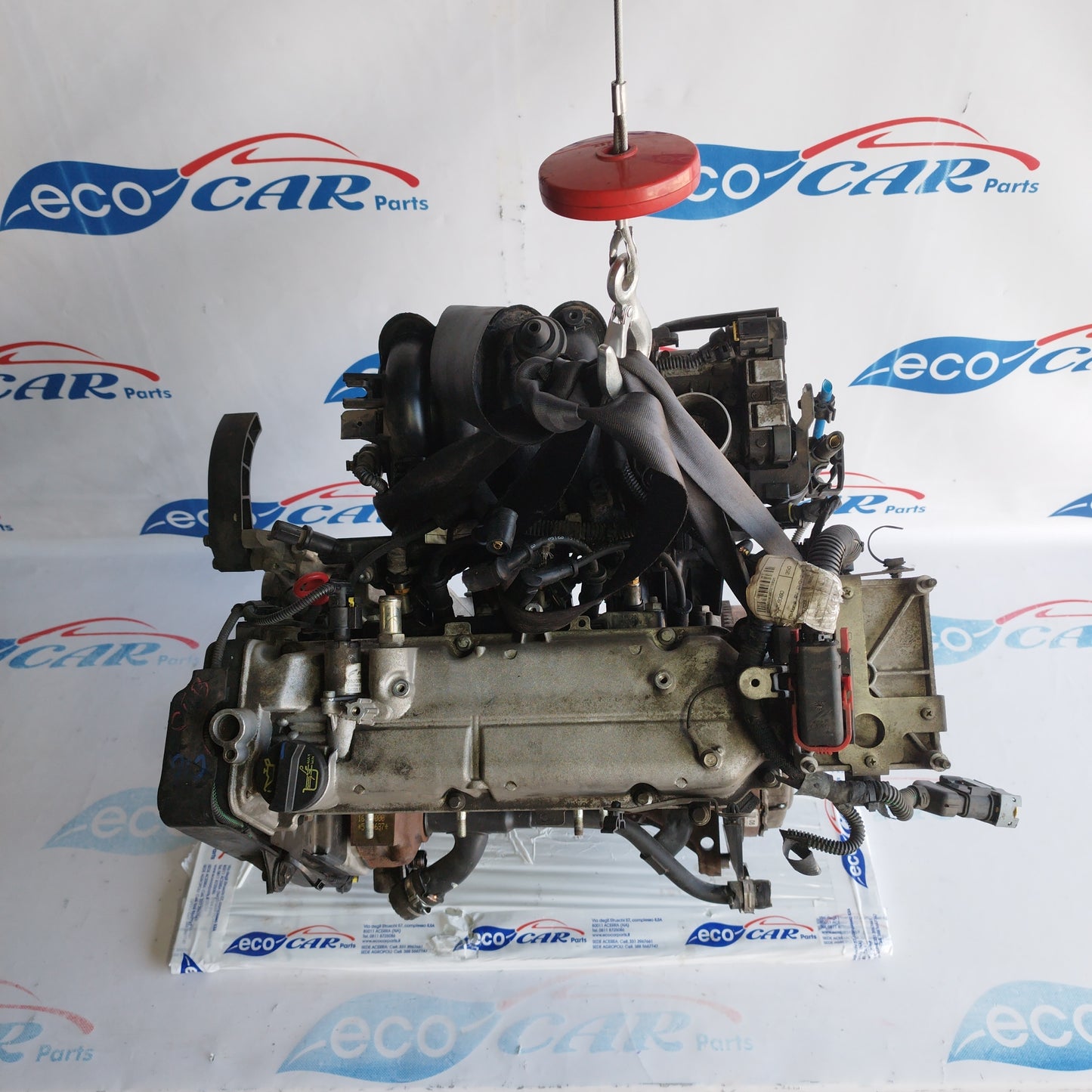 Motore Fiat Punto Evo/500/Panda/Lancia Y/Ford ka 1.2b 8v 70cv 2012 codice 169a4000 ecoAC3427
