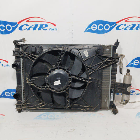 Kühlersatz für Nissan Qashqai 1.6 B 16V, Baujahr 2008, Code M143936D, ecoAC3619