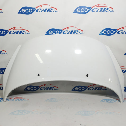 White bonnet Peugeot 207 2010 ecoAC4105