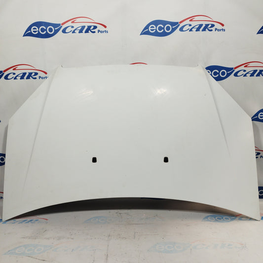 Weiße Motorhaube Fiat Doblo 2006 ecoAC4424