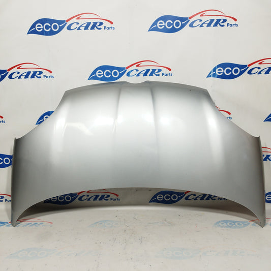 Cheerful gray metallic bonnet Fiat New Panda 2013 ecoAC4718