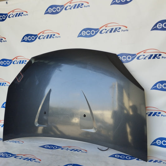 Dacia Sandero 2010 ecoAG2614 gunmetal gray bonnet