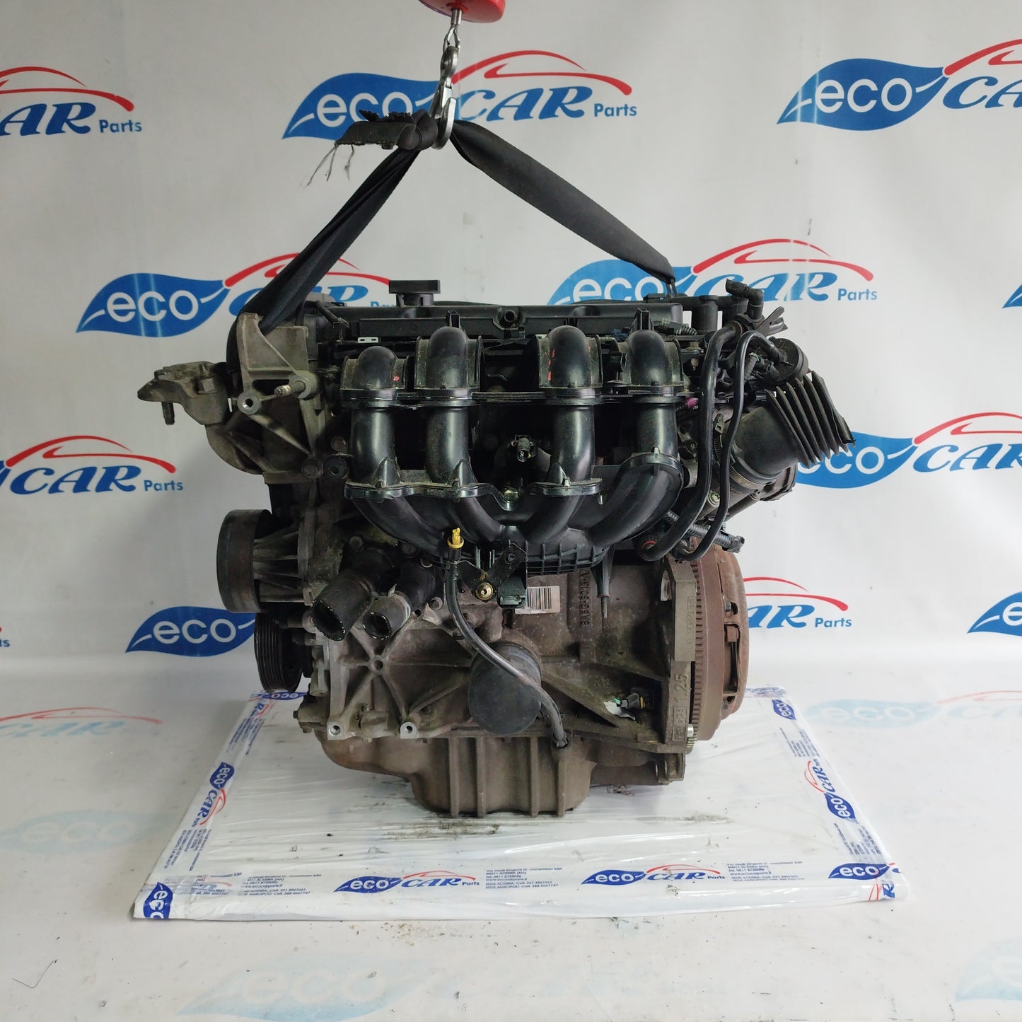 Ford Fiesta 1.2 B 16V, Baujahr 2011, Motorkennung: SNJB ecoAC5113