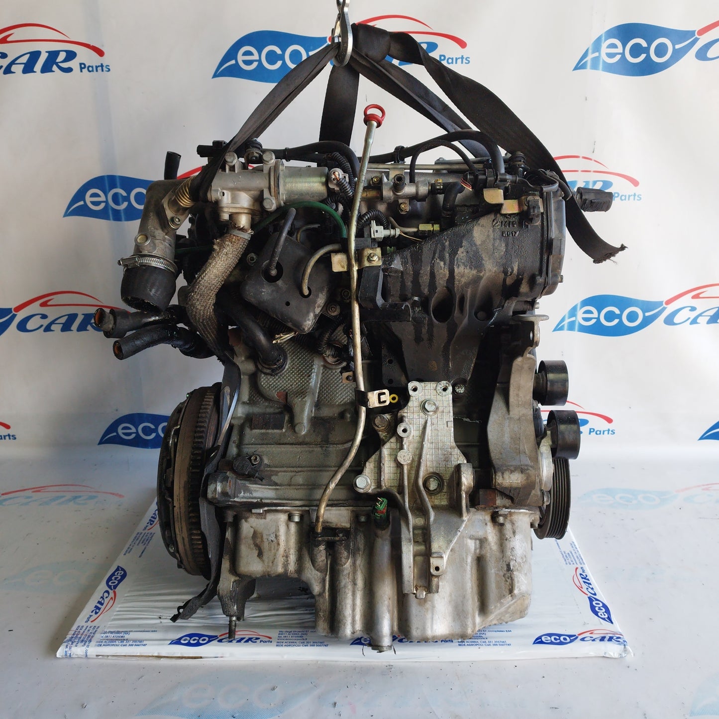 Motore Fiat Punto / Multipla / Doblo 1.9 Jtd 2007 codice: 188a2000 ecoAC5401