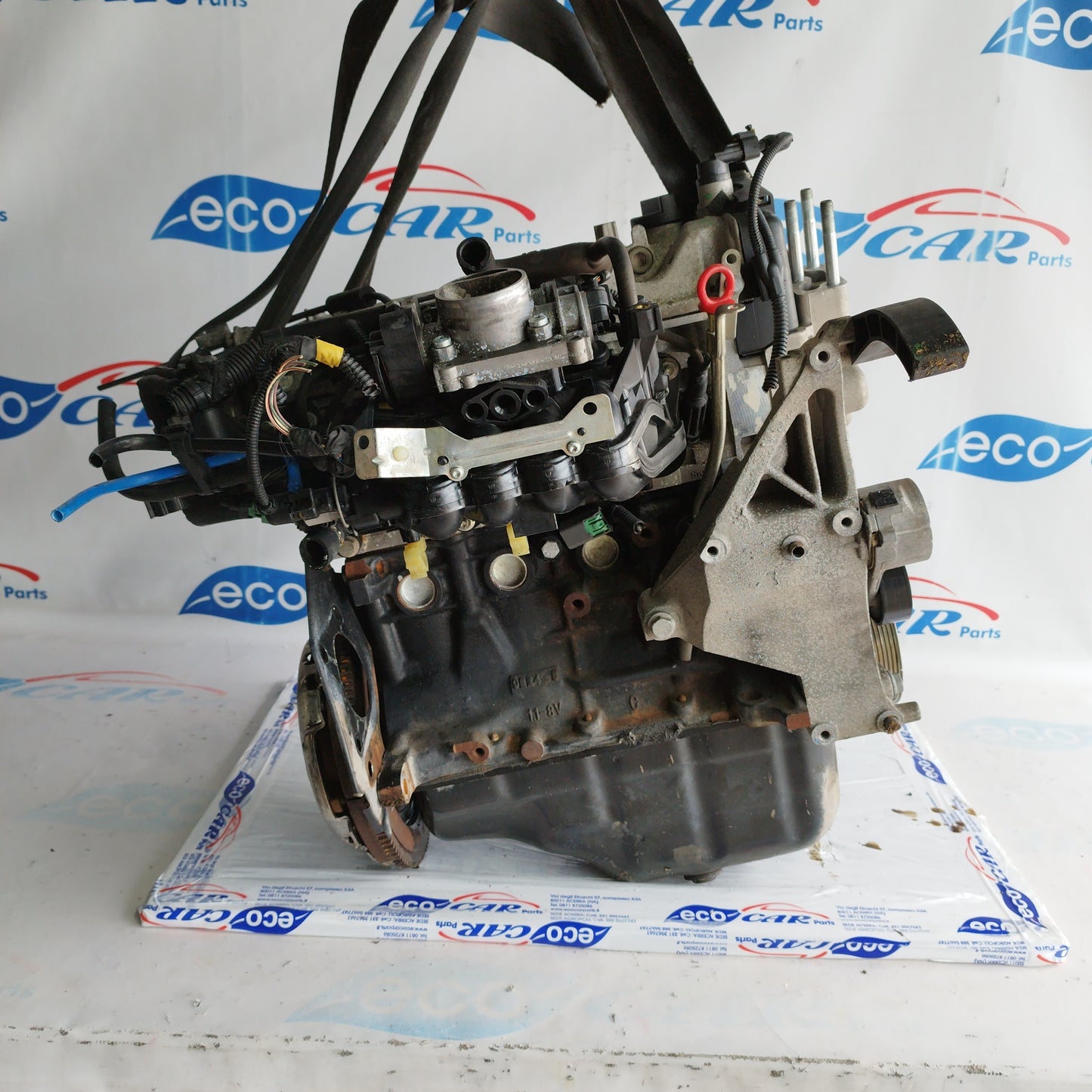 Motore Fiat Panda/ 600 2008 1.1 benzina codice: 187a1000 ecoAC5543