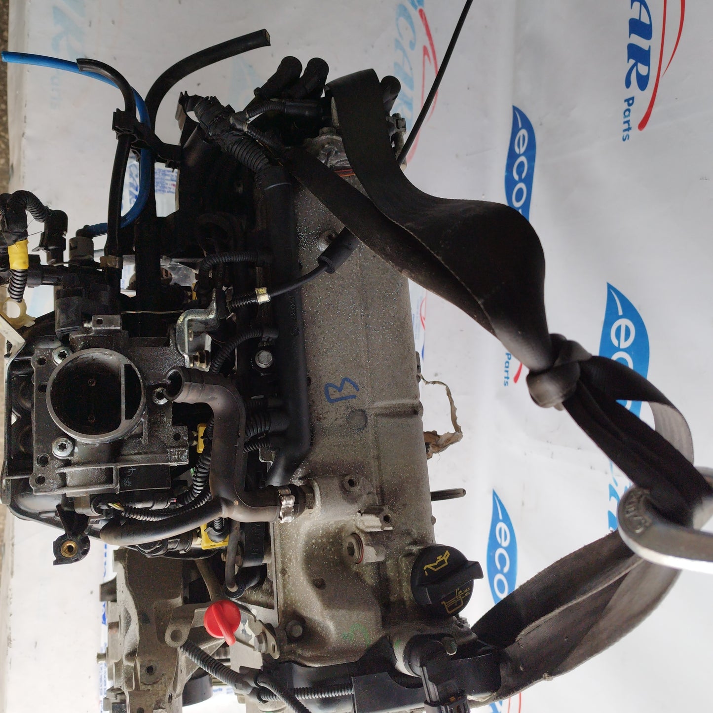 Motore Fiat Panda/ 600 2008 1.1 benzina codice: 187a1000 ecoAC5543