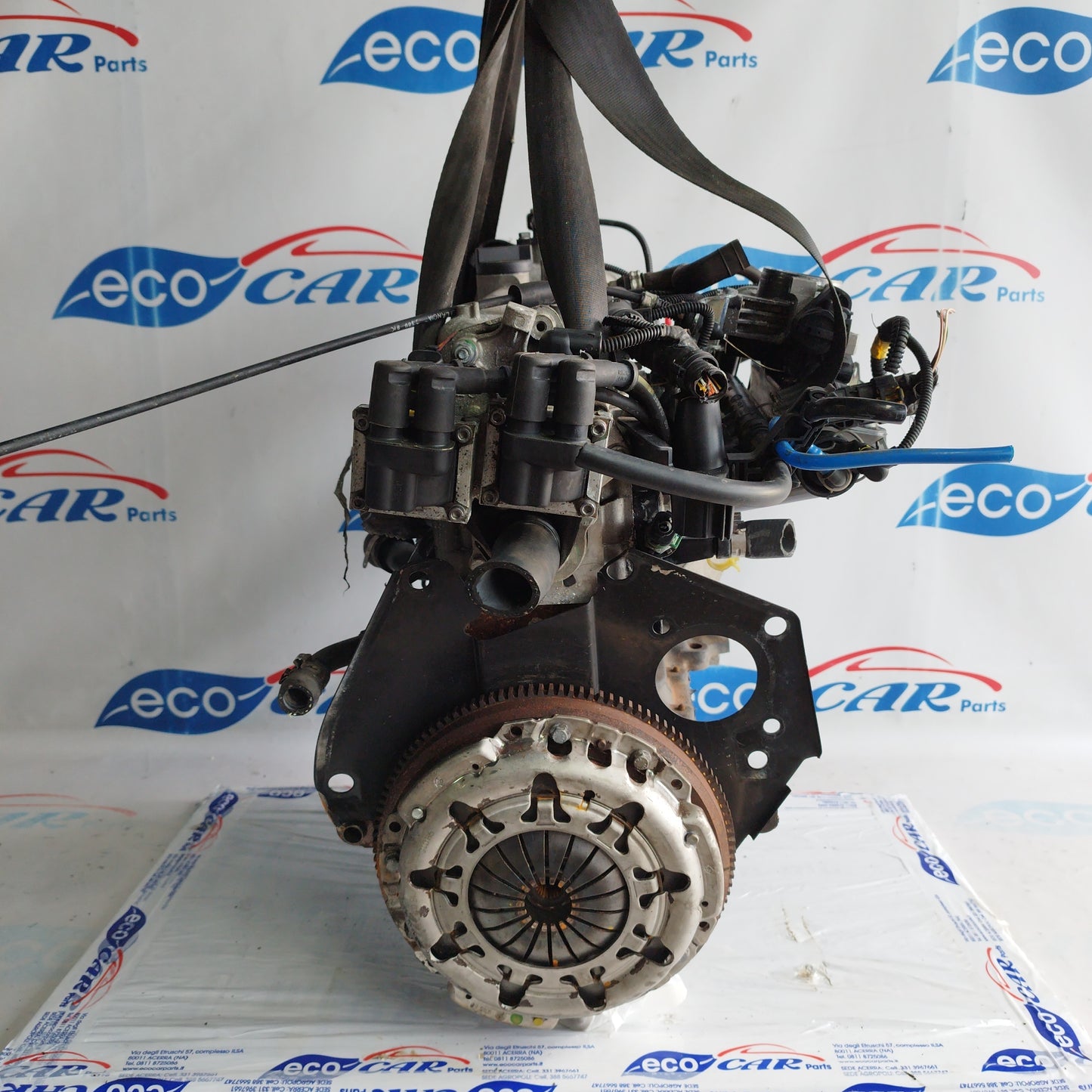 Motore Fiat Panda/ 600 2008 1.1 benzina codice: 187a1000 ecoAC5543