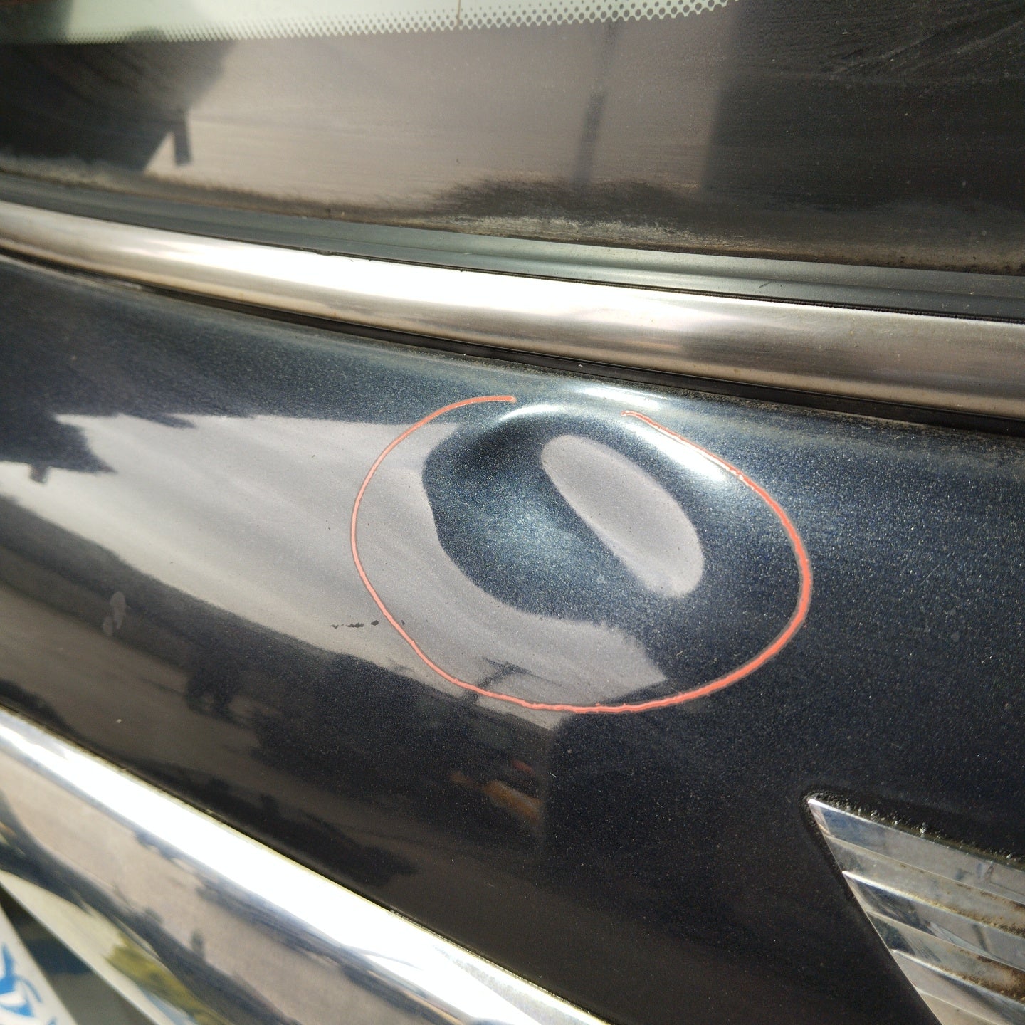 Portellone Mini Cooper R56 Nero ecoAG3210