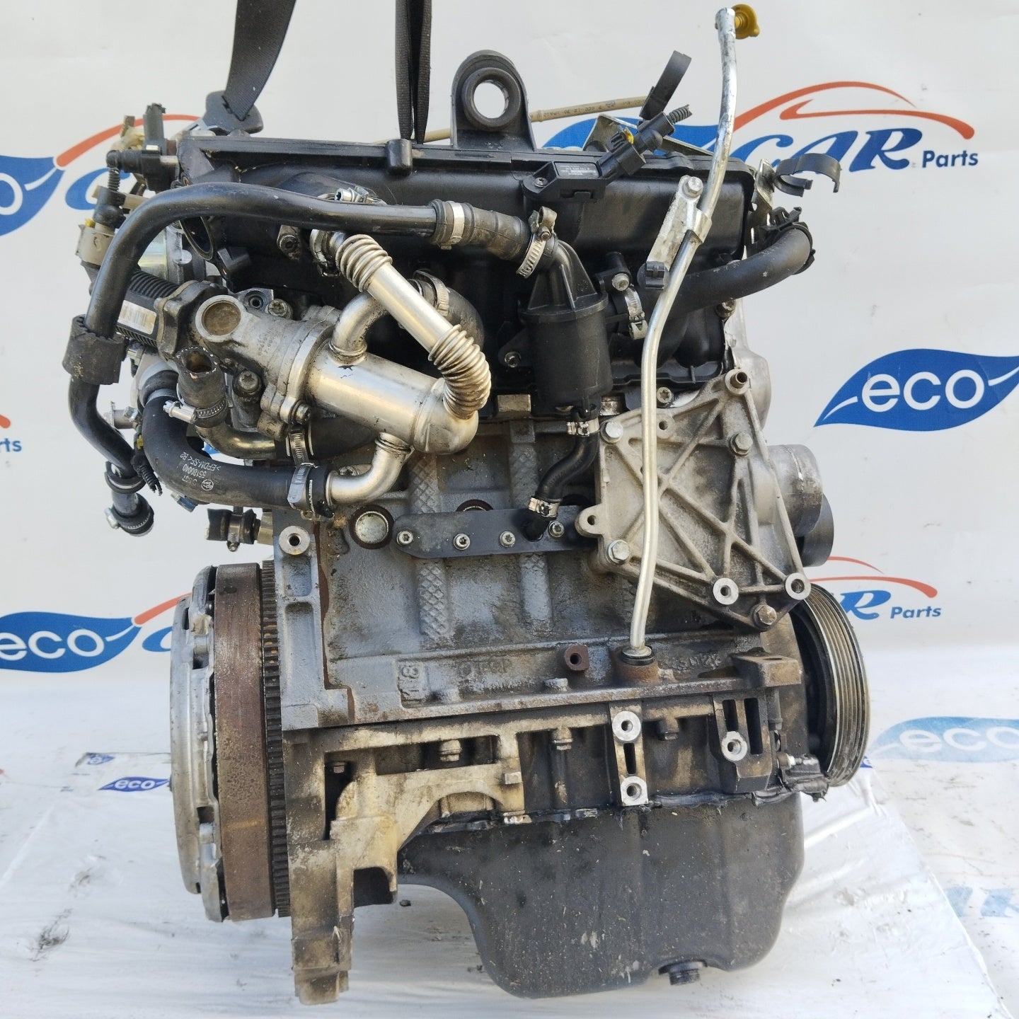 Motore Fiat Punto 1.3 MTJ 70CV Cod. 188A9000 ecoAG3407