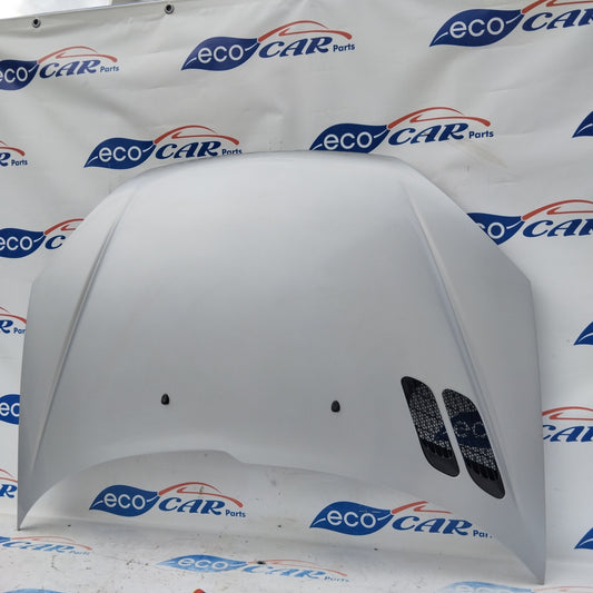 Cofano grigio argento Peugeot 206 ecoAG3734