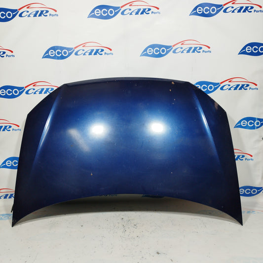 Blue front bonnet Volkswagen Polo 2008 ecoAC6291