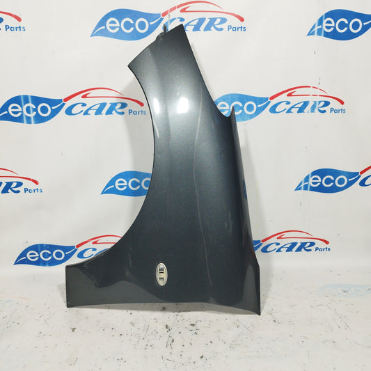 Gray left front mudguard Peugeot 206 Plus 2010 ecoAC6299