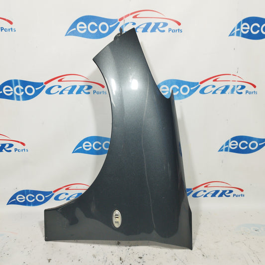 Gray left front mudguard Peugeot 206 Plus 2010 ecoAC6299