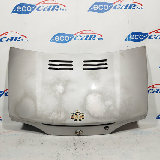 Baule posteriore grigio argento MG F 2001 ecoAC6349