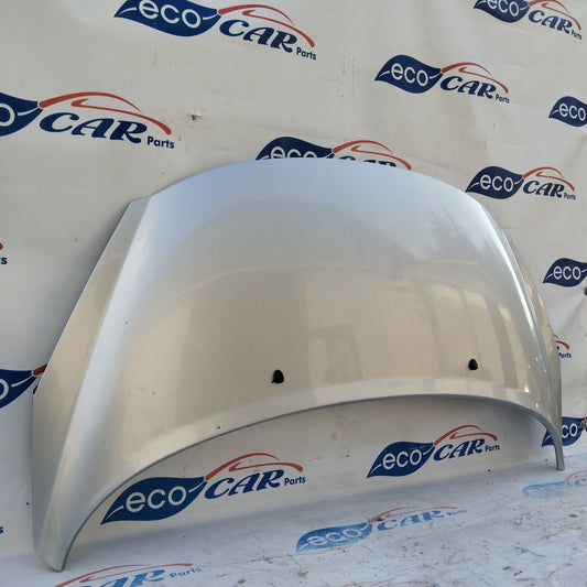 Peugeot 207 ecoAG4014 silver gray bonnet