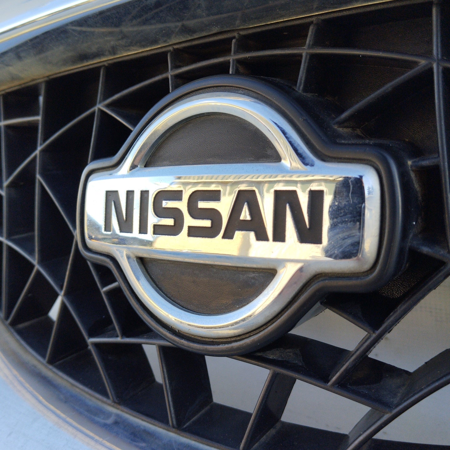 Front grille Nissan Terrano II ecoAG4201