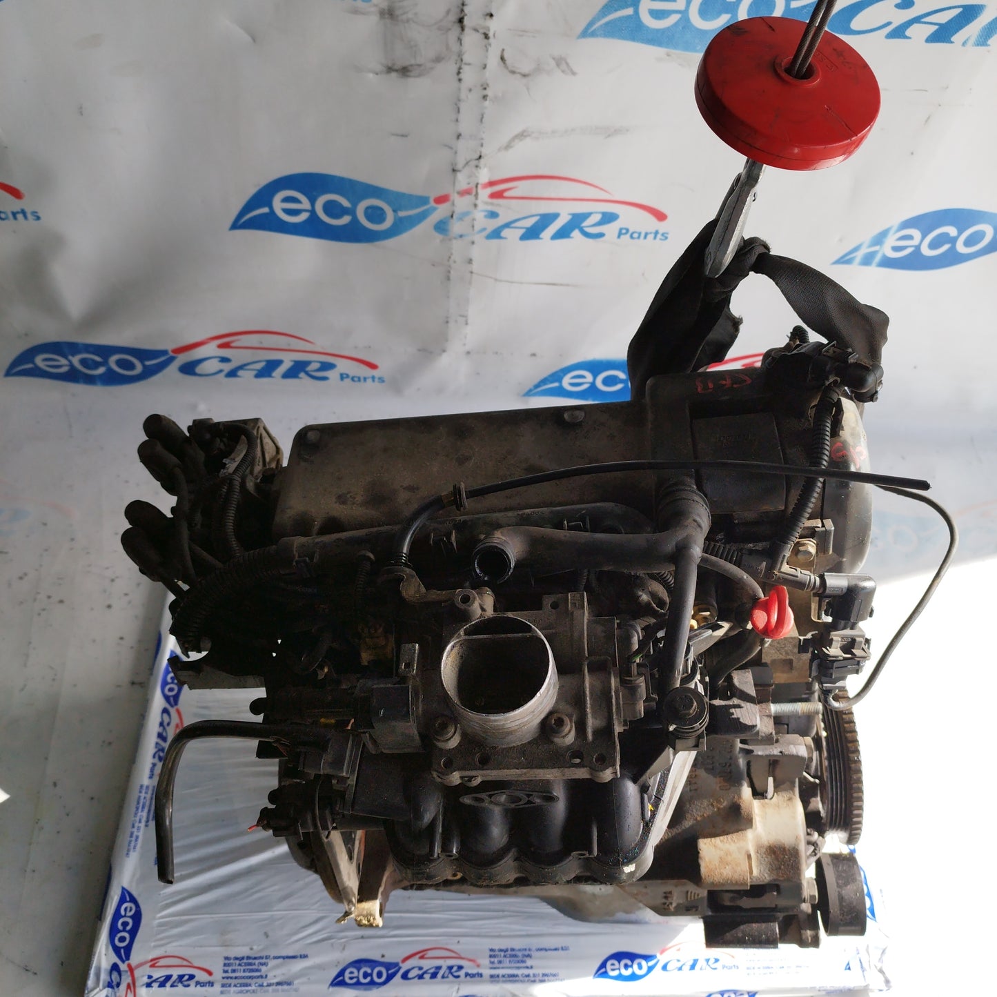 Fiat 600 1.1 B 2003 engine code: 187A1000 ecoAC7098