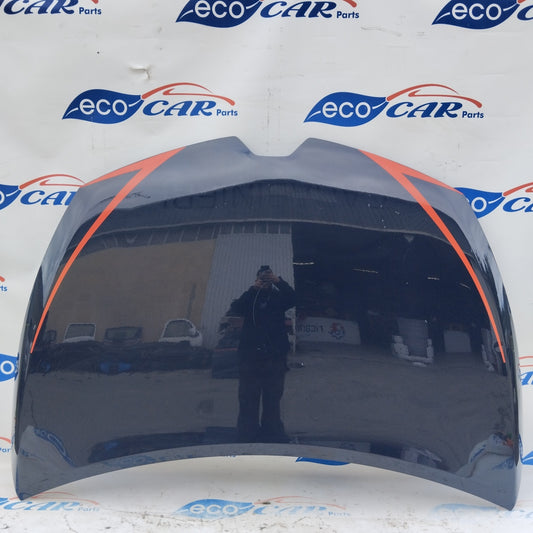 Capot azul Renault Clio 2016 ecoAG4400