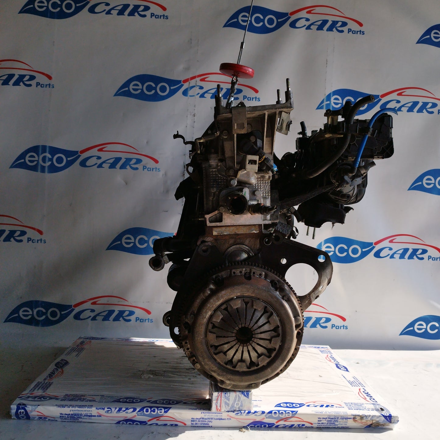 Motore Fiat Punto Evo / 500 / Panda / Lancia Y / Ford ka 1.2 b 8v 70cv 2012 cod: 169a4000 ecoAC7217