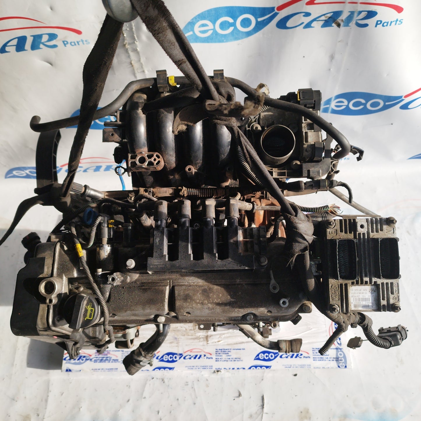 Motore Fiat Punto Evo / 500 / Panda / Lancia Y / Ford Ka 1.2 b 8v 70cv 2012 cod: 169a4000 ecoAC7220