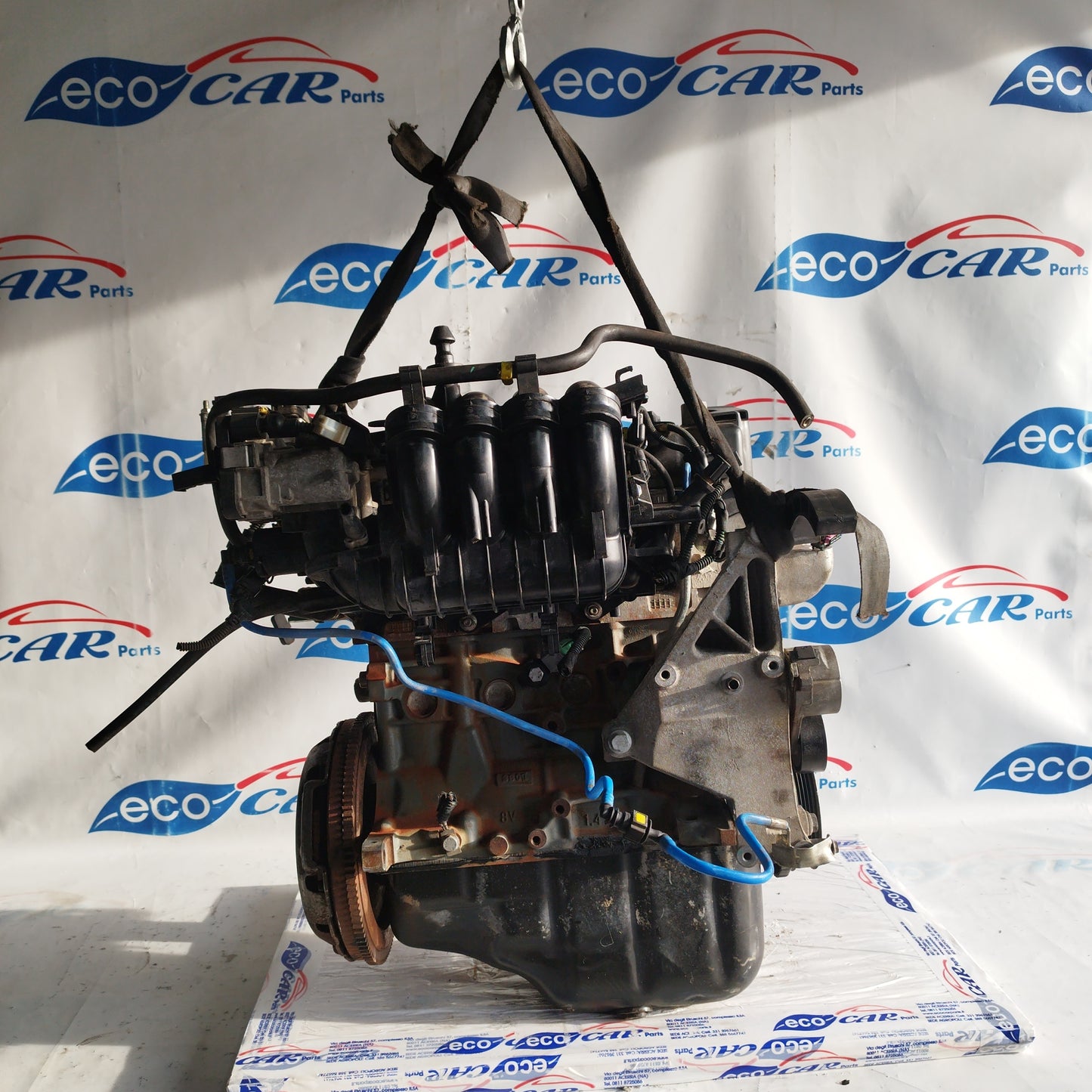 Motore Fiat Punto Evo / 500 / Panda / Lancia Y / Ford Ka 1.2 b 8v 70cv 2012 cod: 169a4000 ecoAC7220