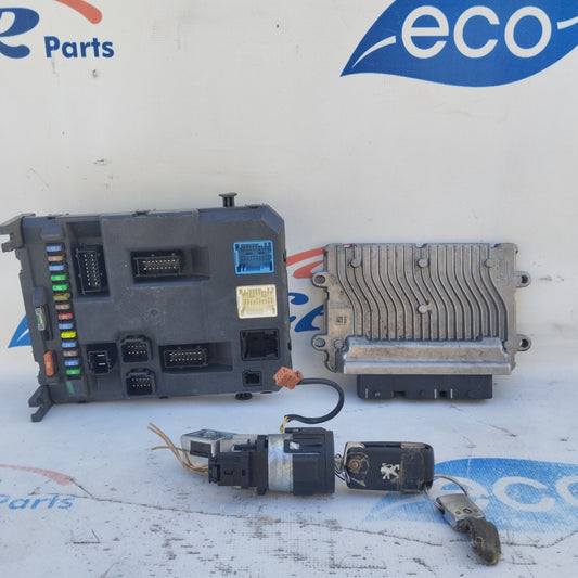 Zündanlage Peugeot 207 1.4 B 2010 Code: sw9665424480 ecoAG4563