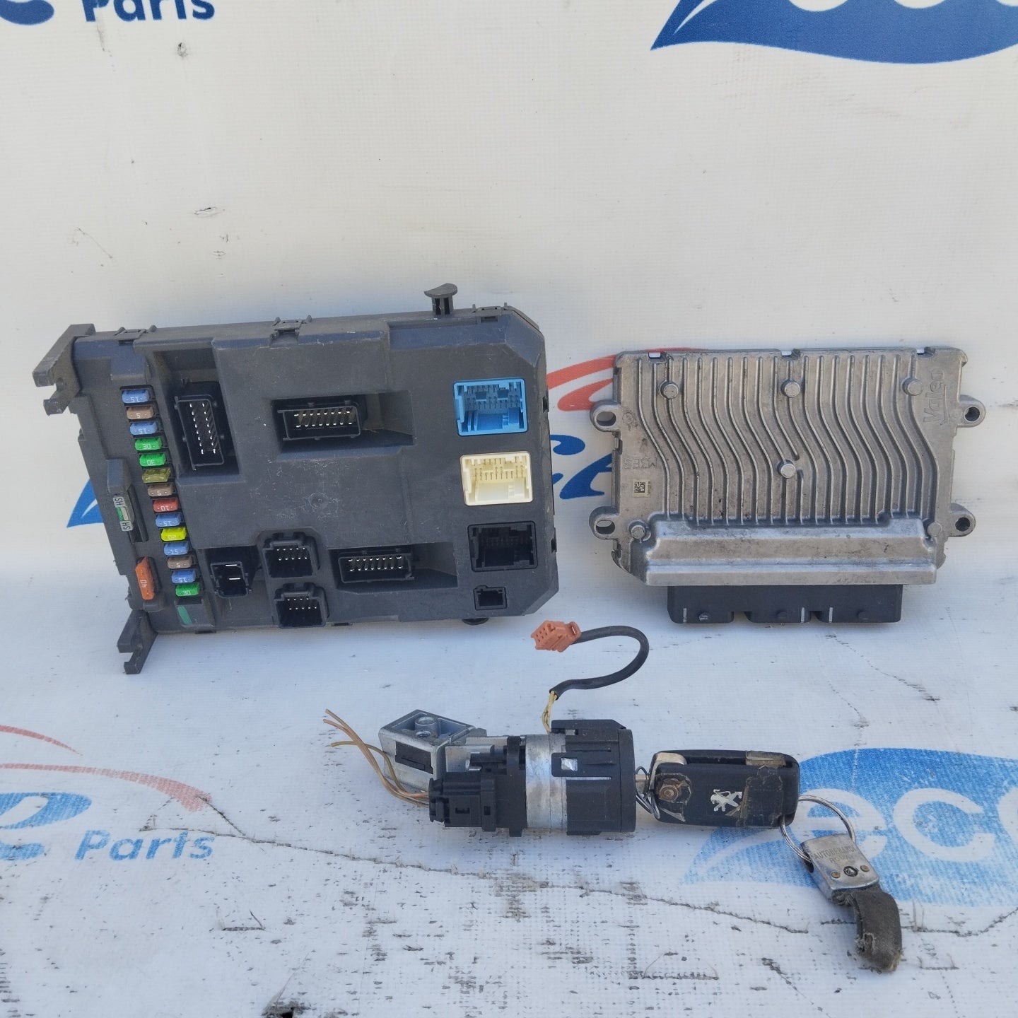 Zündanlage Peugeot 207 1.4 B 2010 Code: sw9665424480 ecoAG4563