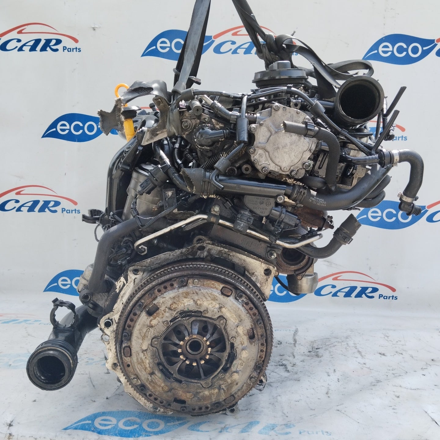 Audi A3 2008 1.9 TDI 8v 105 hp engine code: BKC ecoAG4730