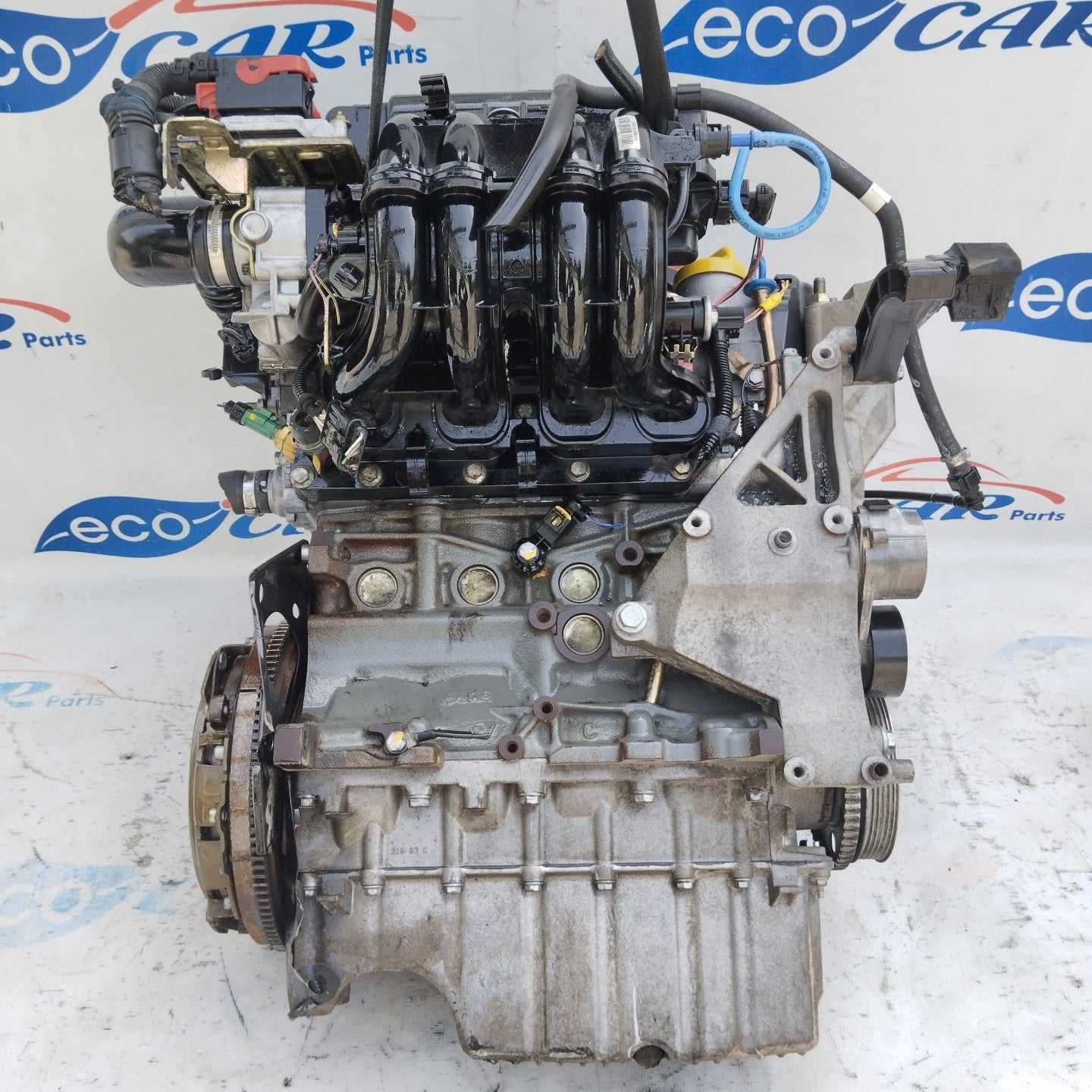 Motore Fiat Grande Punto 1.4 16v cod: 843A1000 ecoAG4731