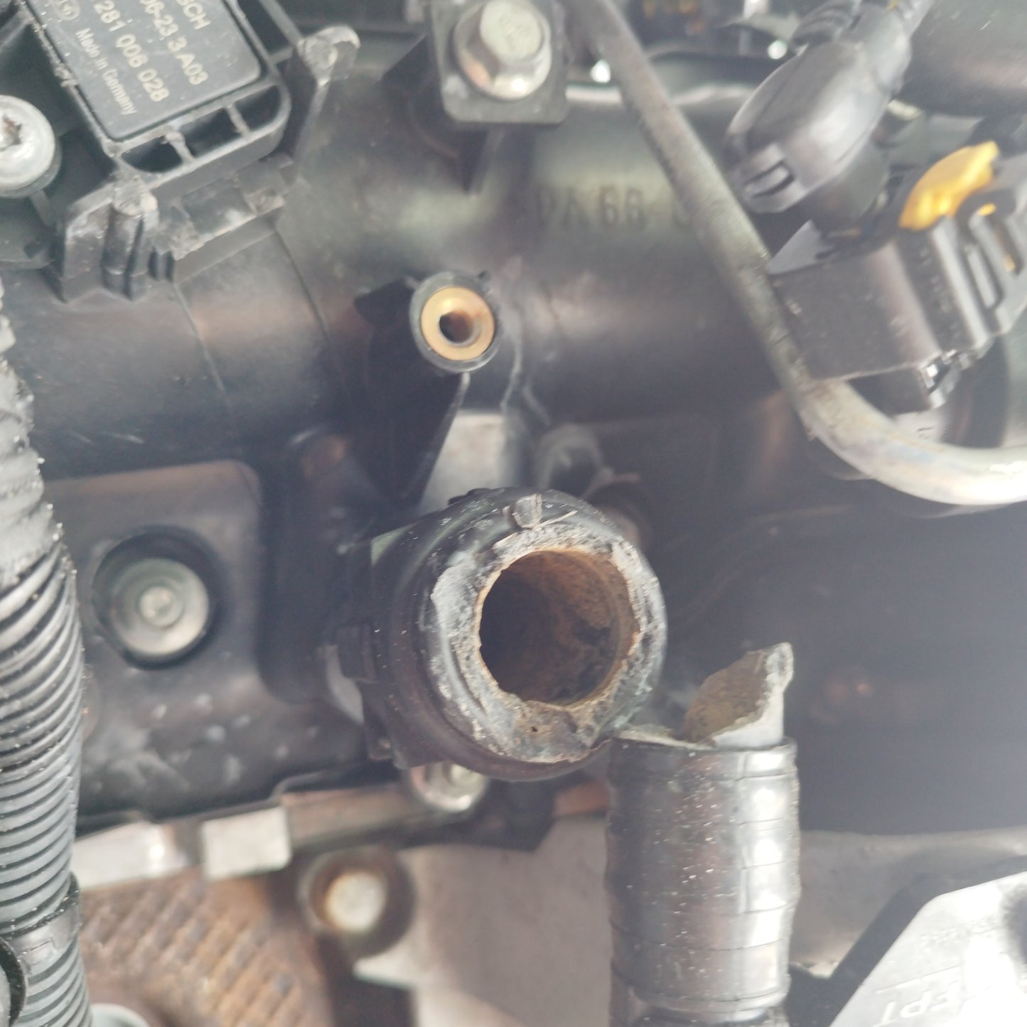 Fiat Bravo 2010 1.6 mtj 120hp engine code: 198A2000 ecoAC7861