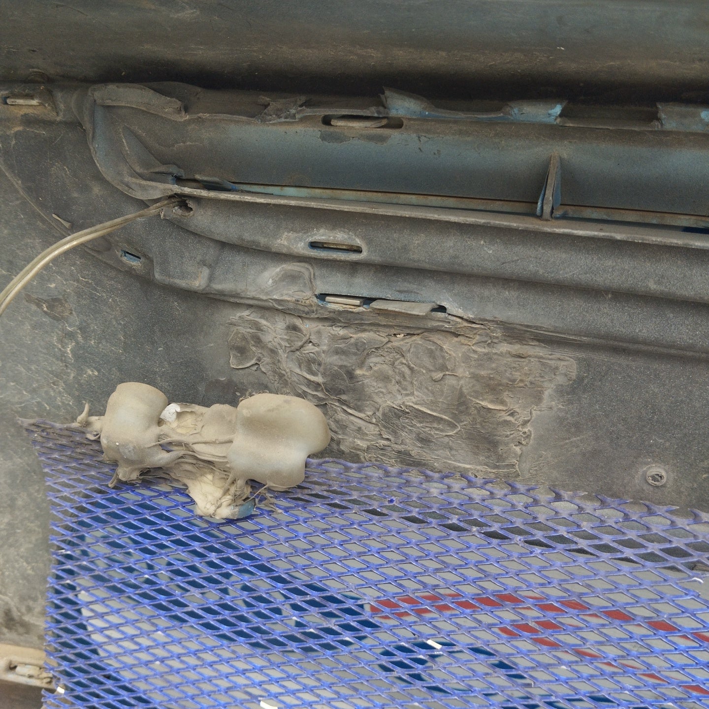 Mini Cooper R50 ecoAG4825 blue front bumper