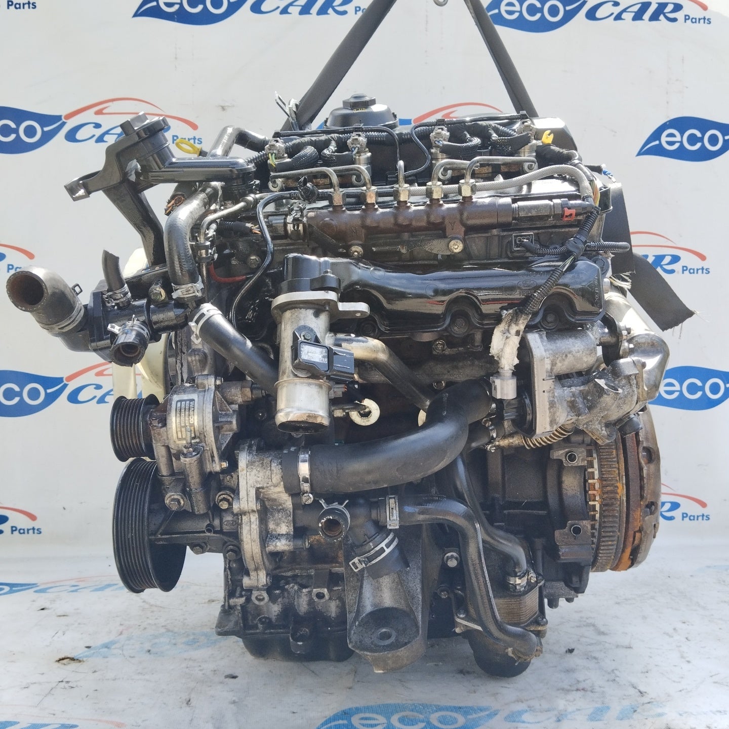 Ford Transit 2.4 D 2009 Motor, Code für dichtes System: PHFA ecoAG4916
