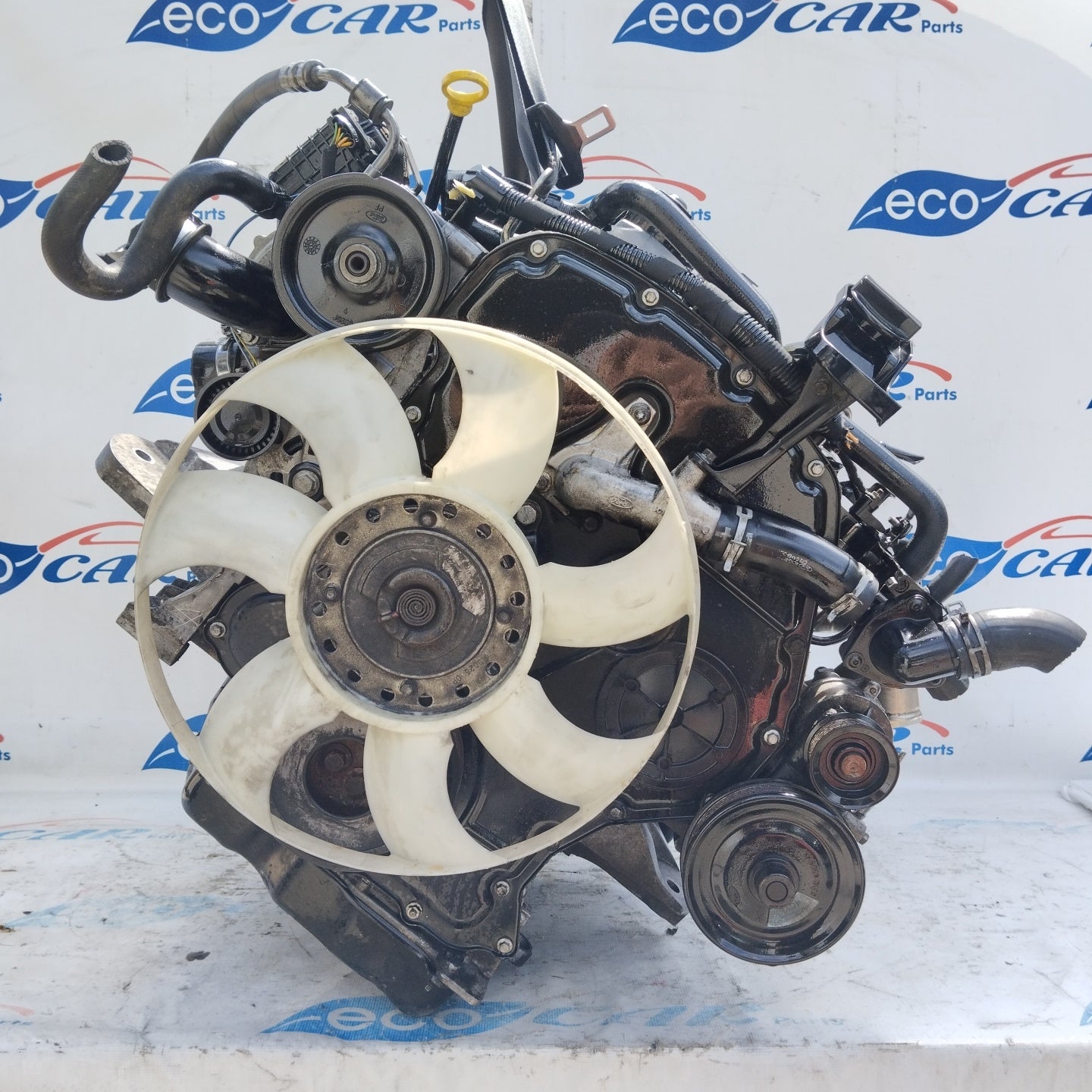 Ford Transit 2.4 D 2009 Motor, Code für dichtes System: PHFA ecoAG4916