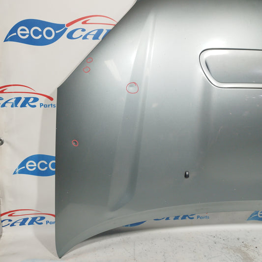 Dunkelgraue Motorhaube RAV4 ecoAC8078 (Baujahr 2004)