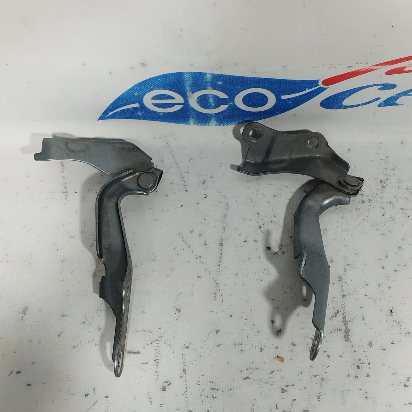 Cerniere cofano anteriore Toyota Rav 4 2005 ecoAC8181