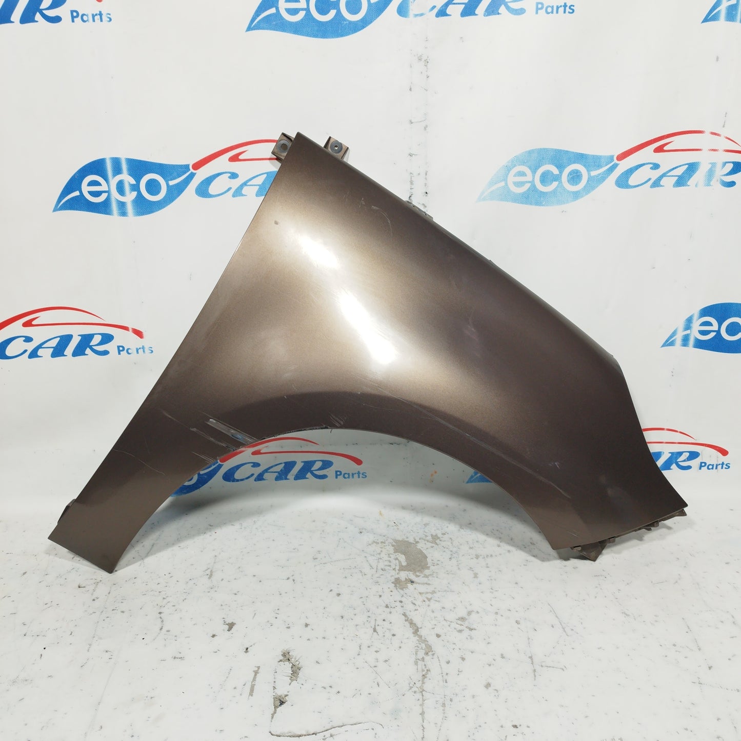 Front right mudguard bronze Renault Scenic 2010 ecoAC8309