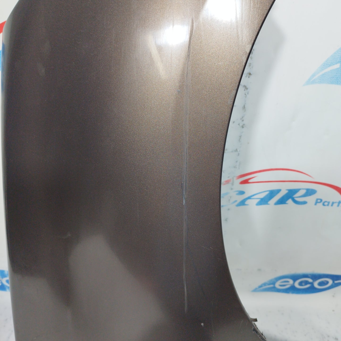 Front right mudguard bronze Renault Scenic 2010 ecoAC8309
