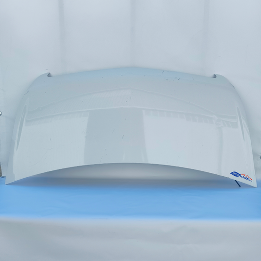 Weiße Motorhaube Opel Movano B 2016 ecoAG6363