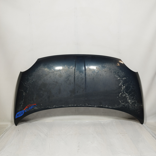 Fiat 500 Motorhaube, Baujahr 2007, ecoAC13150