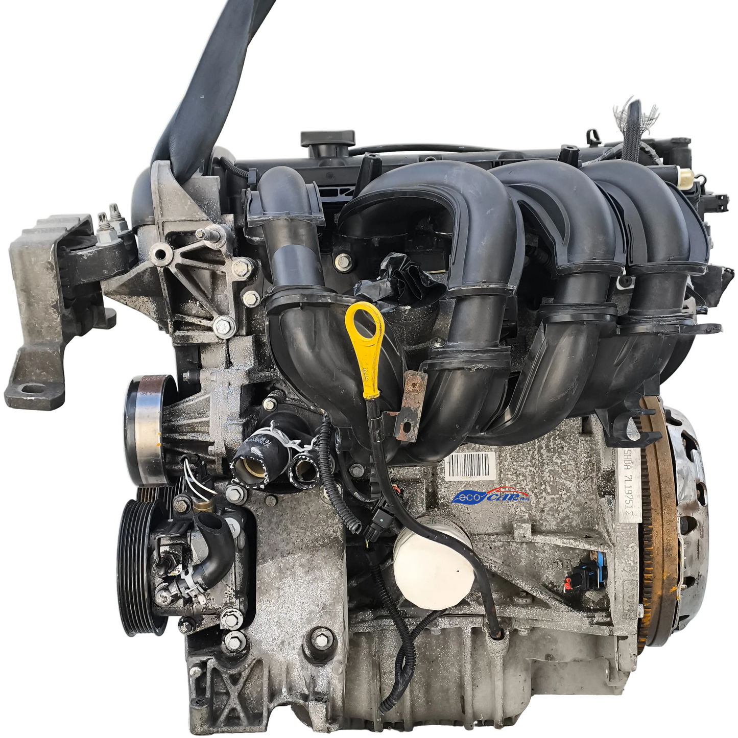 Motore Ford C-MAX 1.6 B 16V anno 2004-2011 cod: SHDA ecoAG7744