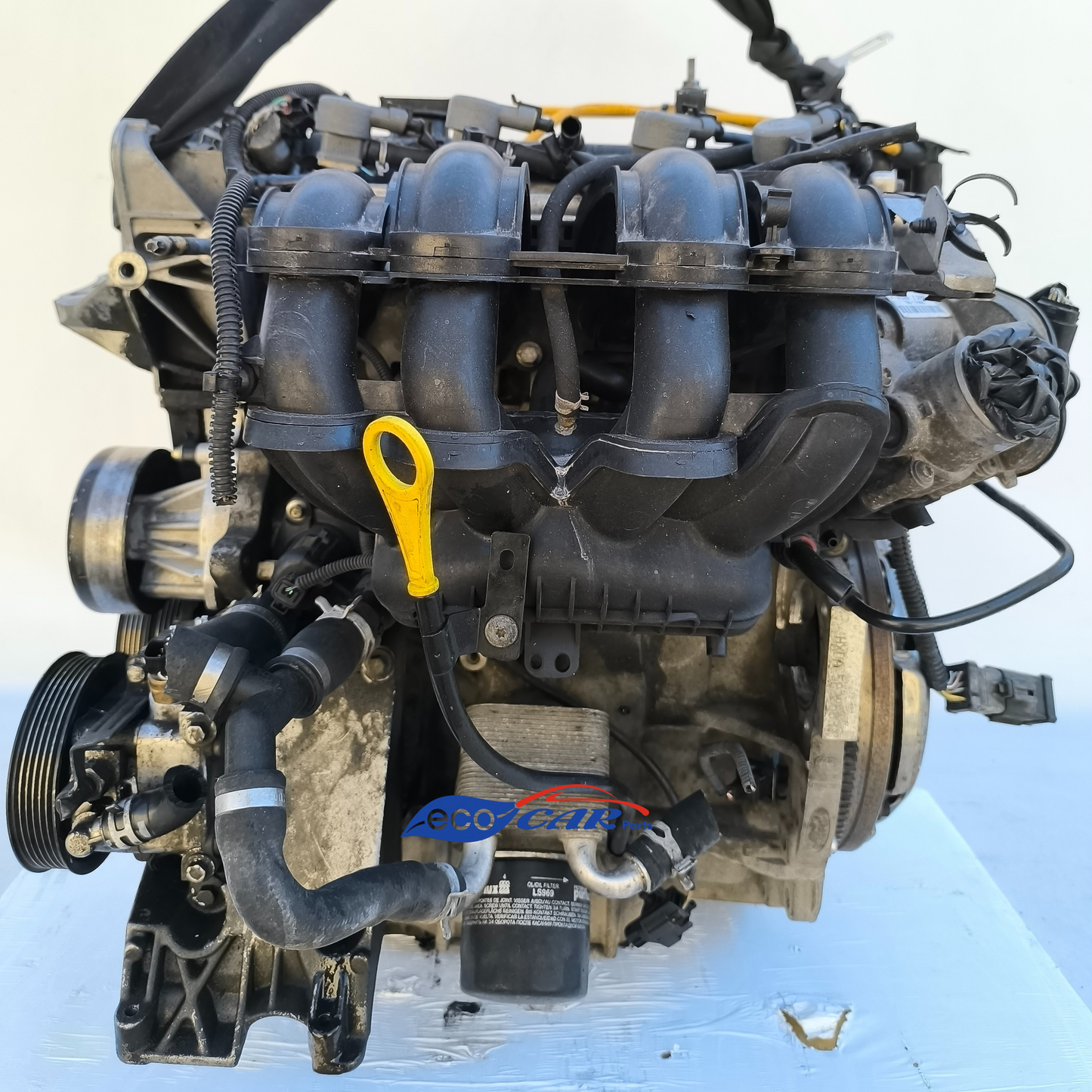 Ford Focus 1.6 B Motor, Baujahr 2008, Code HXDA ecoAG7273