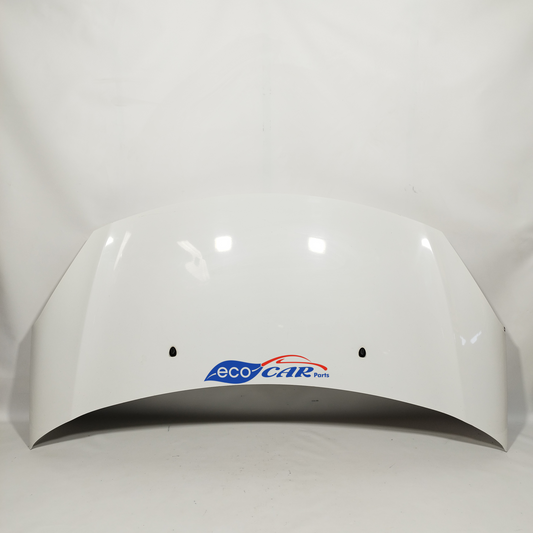 Weiße Motorhaube Citroen C3 2011 ecoAC11648
