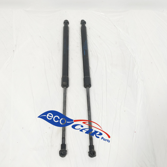 Ammortizzatori portellone Nissan Micra K14 2017 Cod: 904505FA1A ecoAC11744