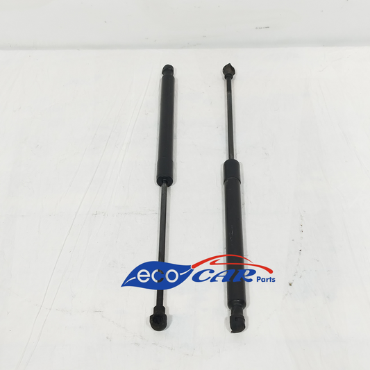 Ammortizzatori portellone posteriore Renault Captur 2013 Cod: 844301324R ecoAC12136