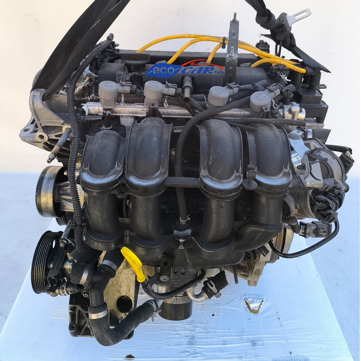 Ford Focus 1.6 B Motor, Baujahr 2008, Code HXDA ecoAG7273