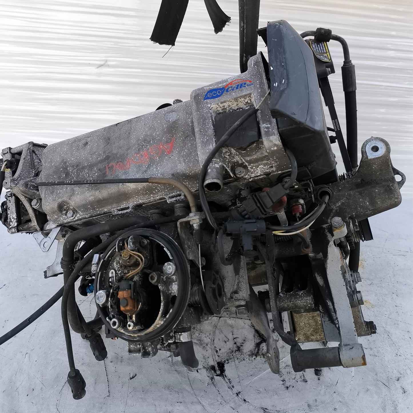 Motore Fiat Punto / Lancia Ypsilon 1.2 B 1997-2003 codice: 176b4000 ecoAG7747