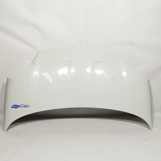 Weiße Motorhaube Fiat New Panda 2014 ecoAC10808