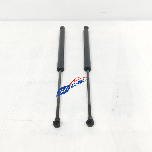 Ammortizzatori portellone posteriore Renault Captur 2013 Cod: 844301324R ecoAC12136