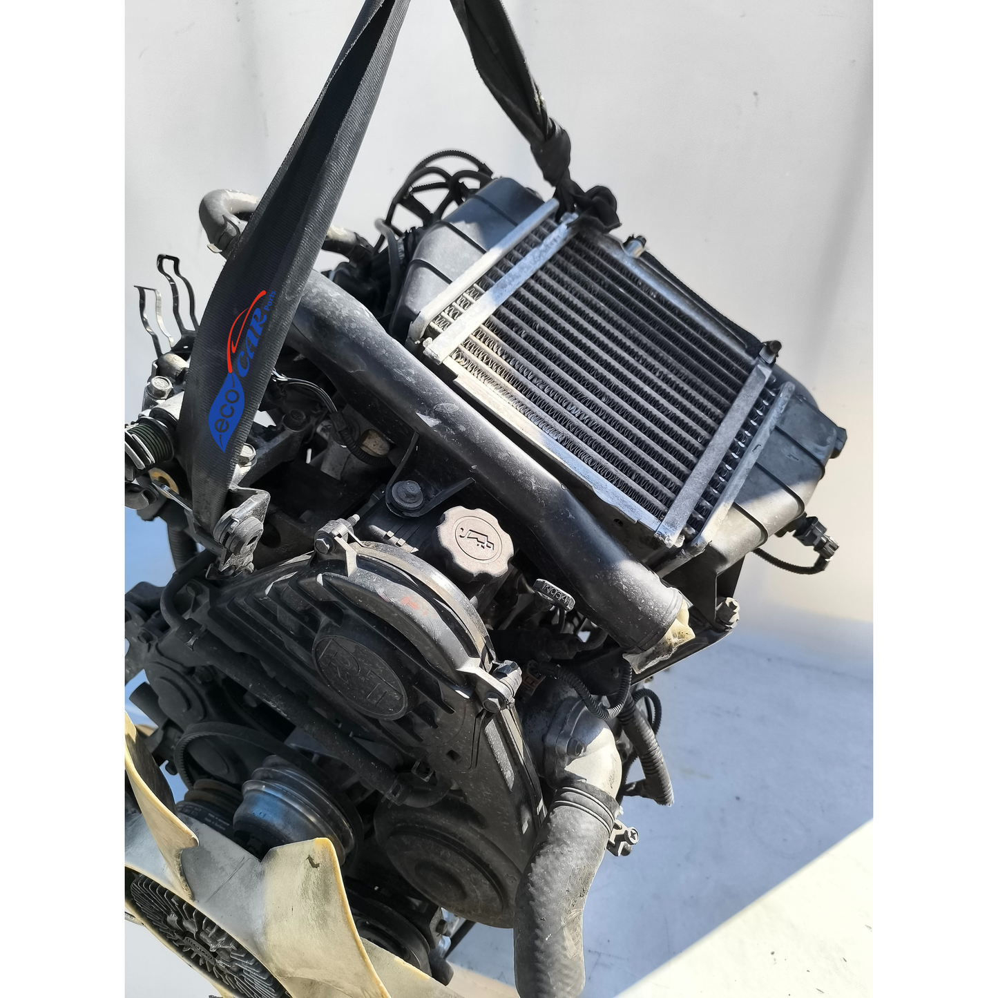 Motore Kia Sportage 2.0 D anno 2000 cod. RF ecoAG7380